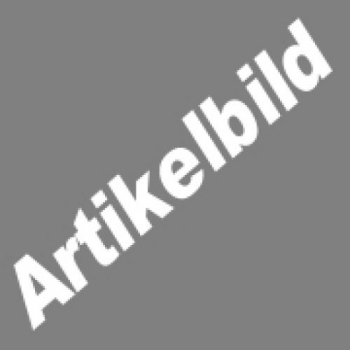Dies ist ein Testartilkel mit Bild